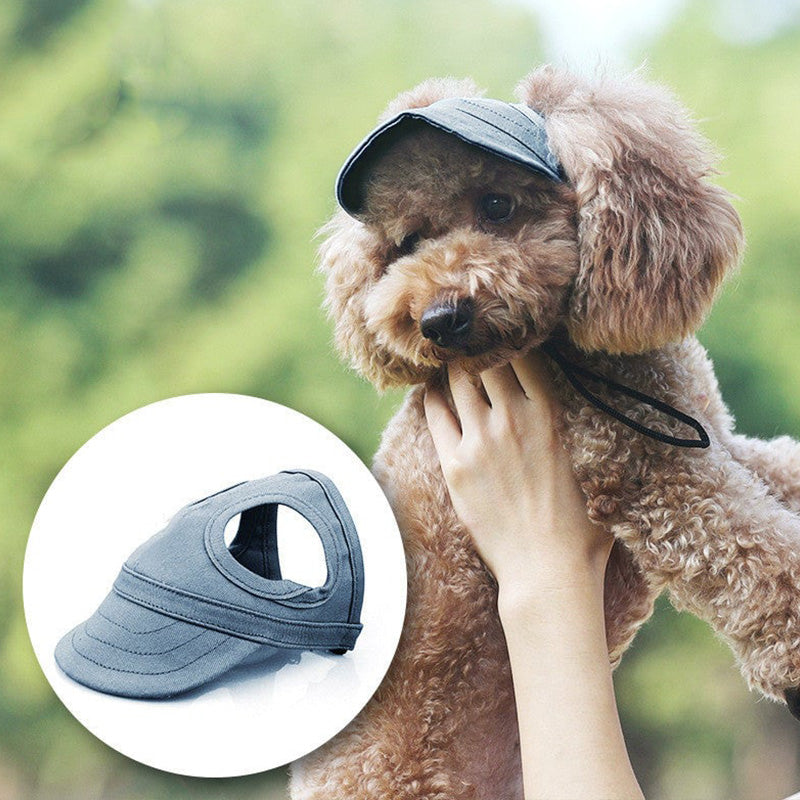 Cappello per cani