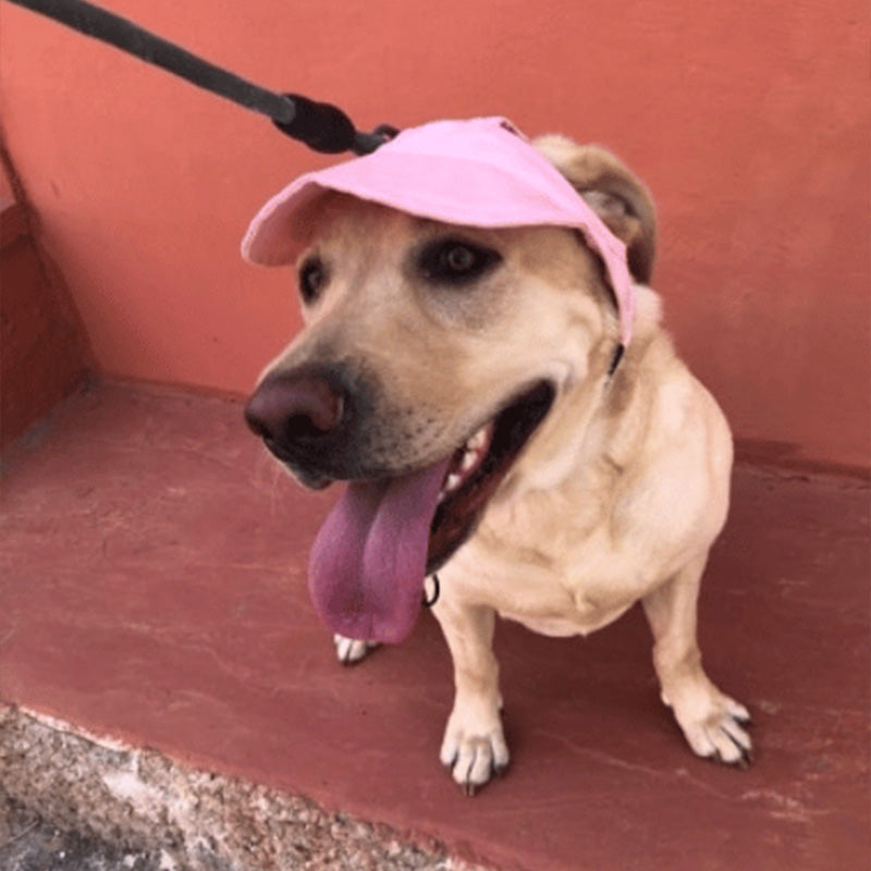 Cappello per cani