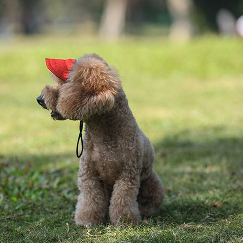 Cappello per cani