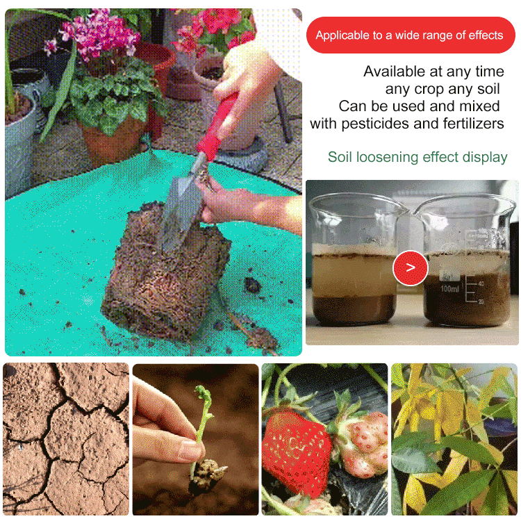 🌱60% DI SCONTO! 🏗️ Agente ammendante per terreni – Migliora la struttura, il drenaggio e la fertilità 🌿