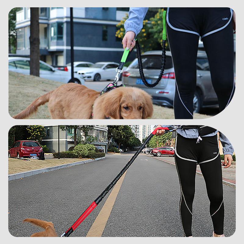 🔥Saldi scottanti 50% di sconto🔥Guinzaglio regolabile per cani con marsupio