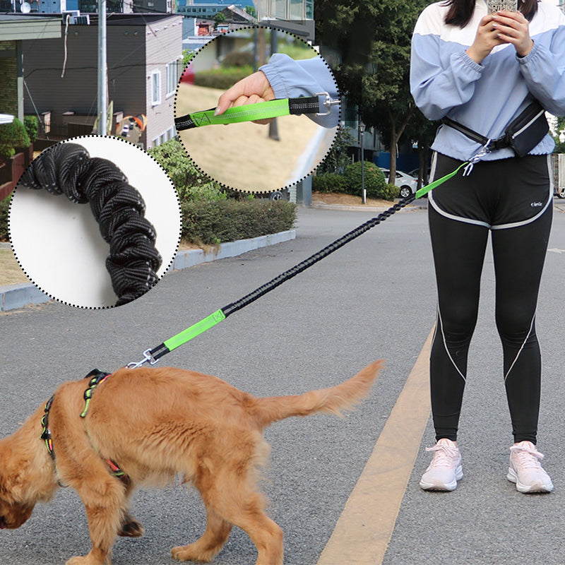 🔥Saldi scottanti 50% di sconto🔥Guinzaglio regolabile per cani con marsupio