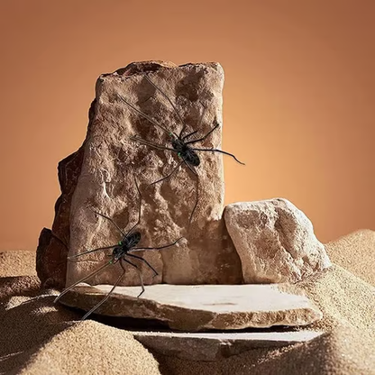 Magnete da frigo a forma di ragno🎁Magneti realistici a forma di ragno, per frigorifero, porta del garage o auto