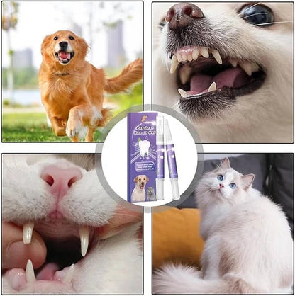 Gel riparatore di denti per cani e gatti