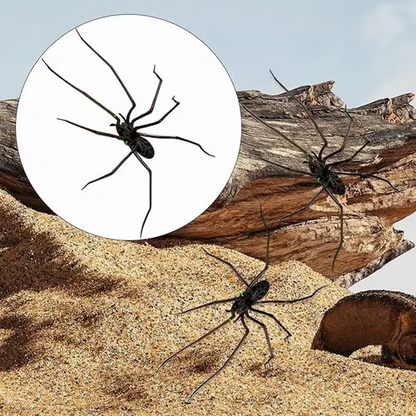 Magnete da frigo a forma di ragno🎁Magneti realistici a forma di ragno, per frigorifero, porta del garage o auto