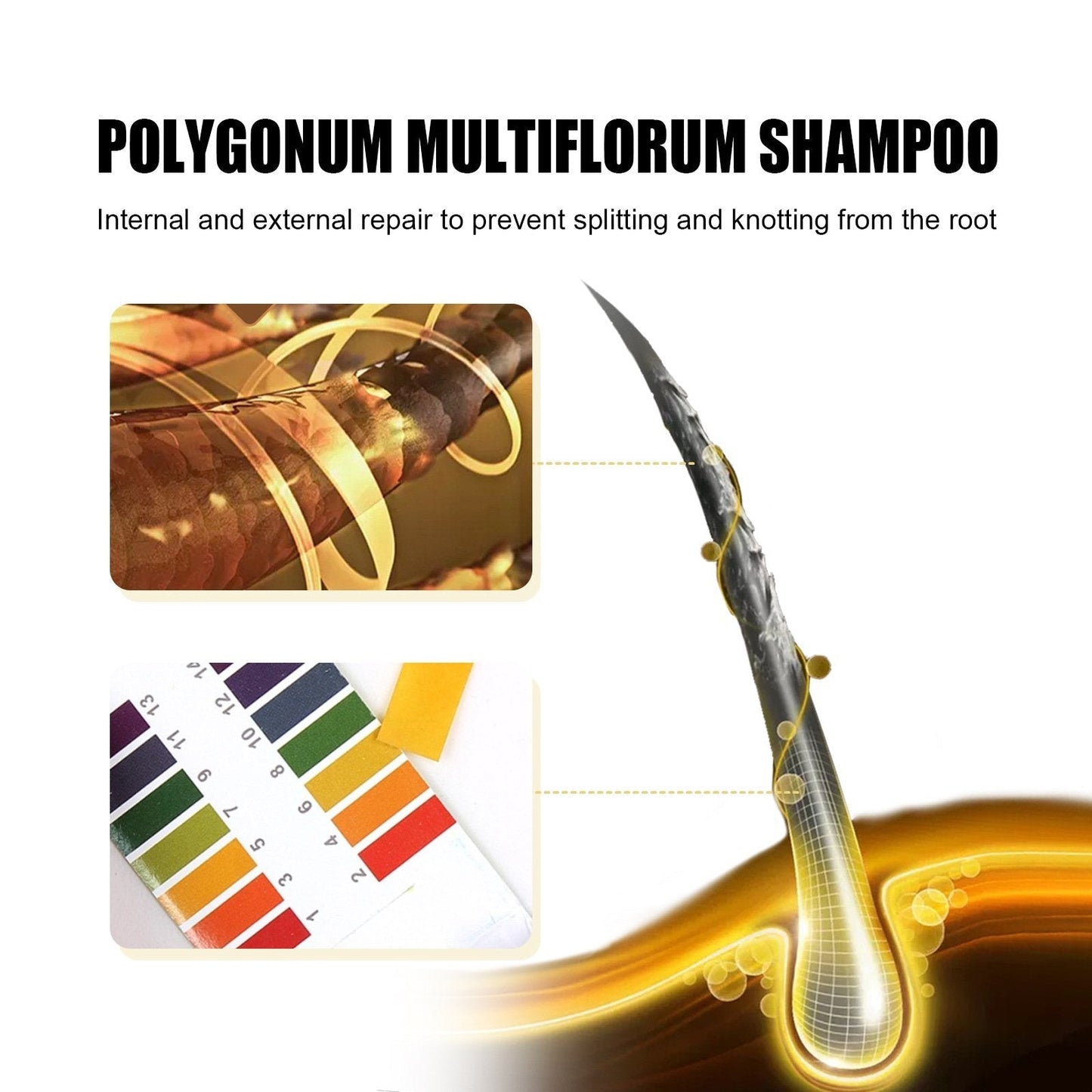 Polygonum Multiflorum GInger Shine Nourishing Root Shampoo