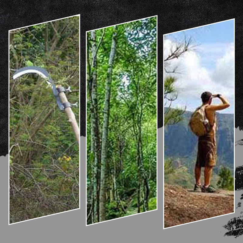 🎁50% di sconto per un periodo limitato✨Falcetto portatile multifunzione per diserbo🔪