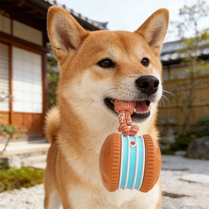 🔥 SCONTO DEL 60%! Giocattolo interattivo con pallina rotolante per cani