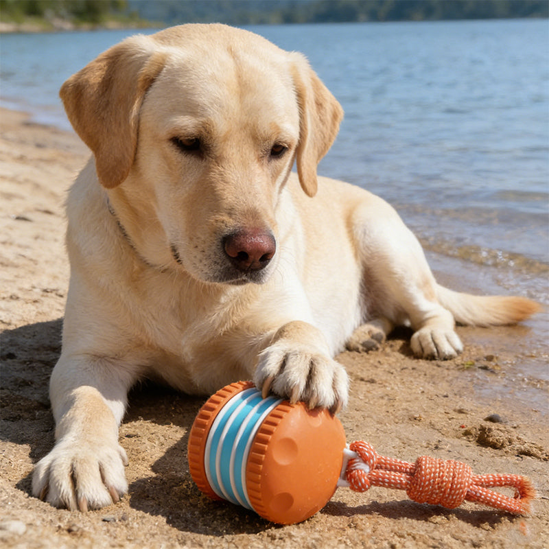 🔥 SCONTO DEL 60%! Giocattolo interattivo con pallina rotolante per cani