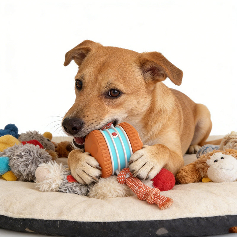 🔥 SCONTO DEL 60%! Giocattolo interattivo con pallina rotolante per cani