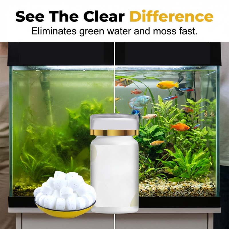 🐟💧 SCONTO DEL 50% 🔥 Rimedio efficace contro l'acqua verde e le alghe nell'acquario – acqua cristallina in poco tempo ✨