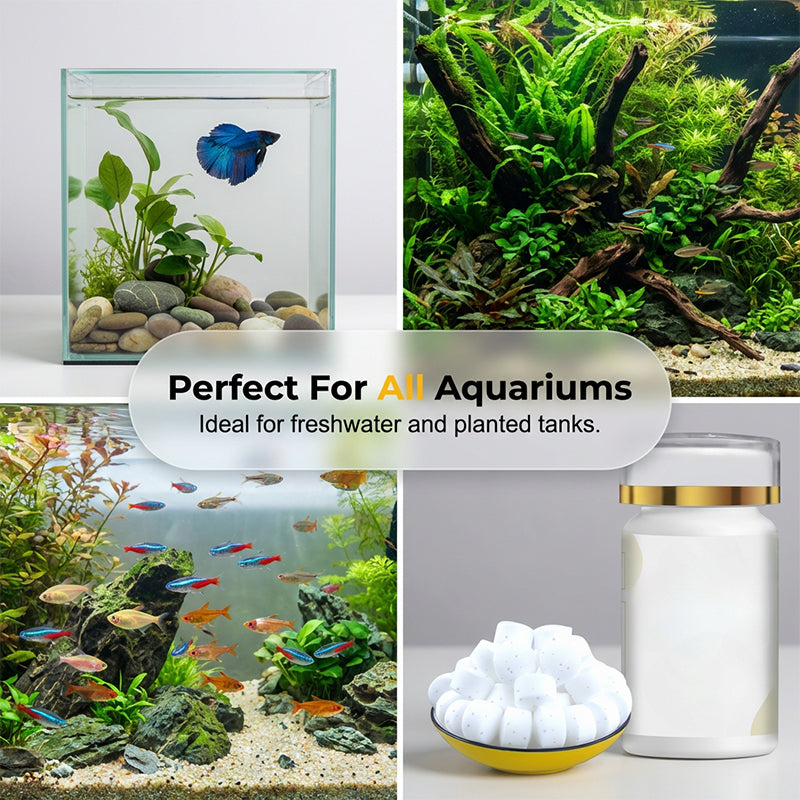 🐟💧 SCONTO DEL 50% 🔥 Rimedio efficace contro l'acqua verde e le alghe nell'acquario – acqua cristallina in poco tempo ✨
